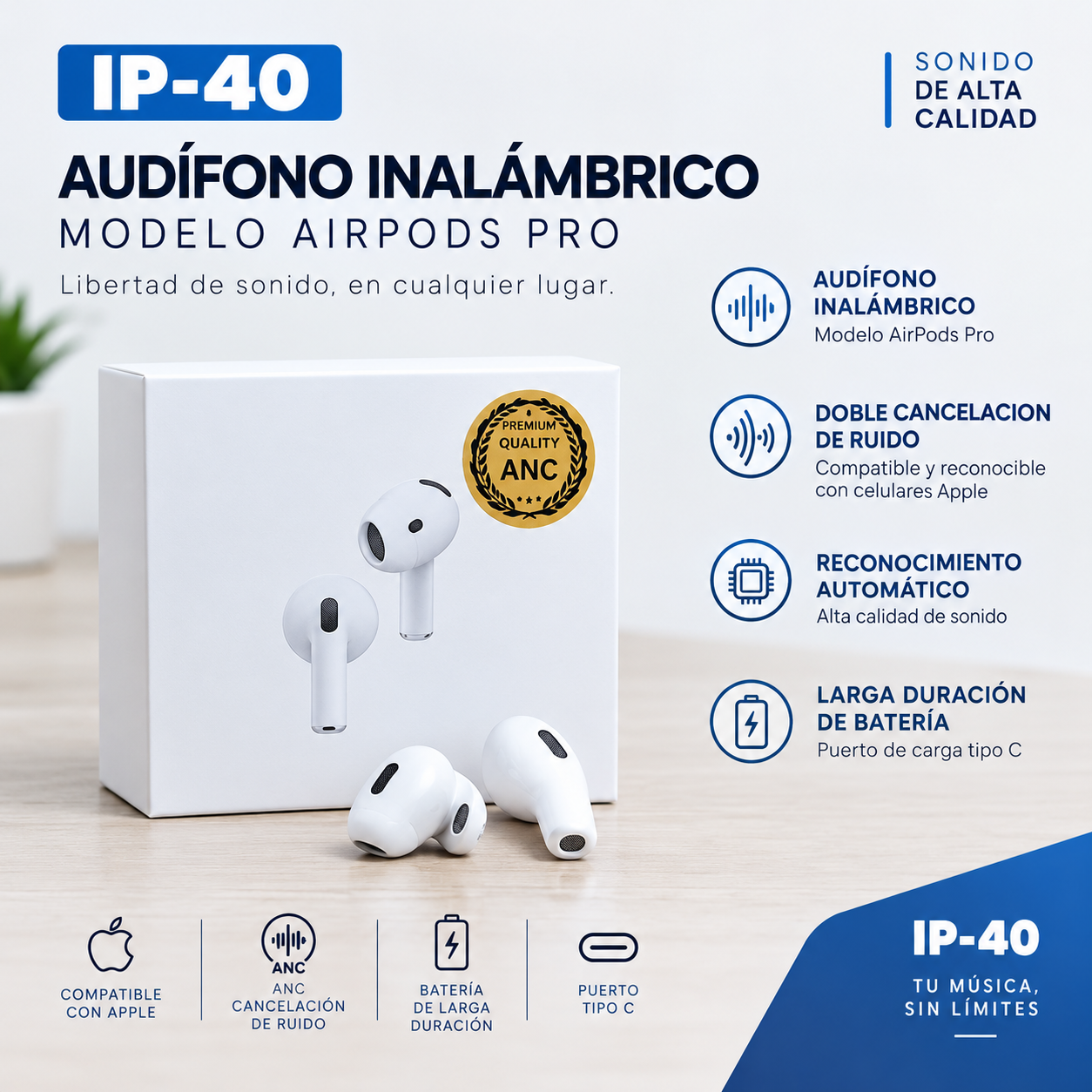 Producto 2